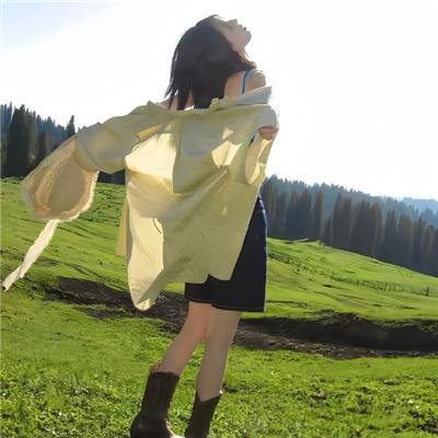 衰落与瓦解